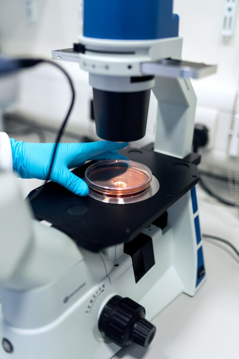 lab cico